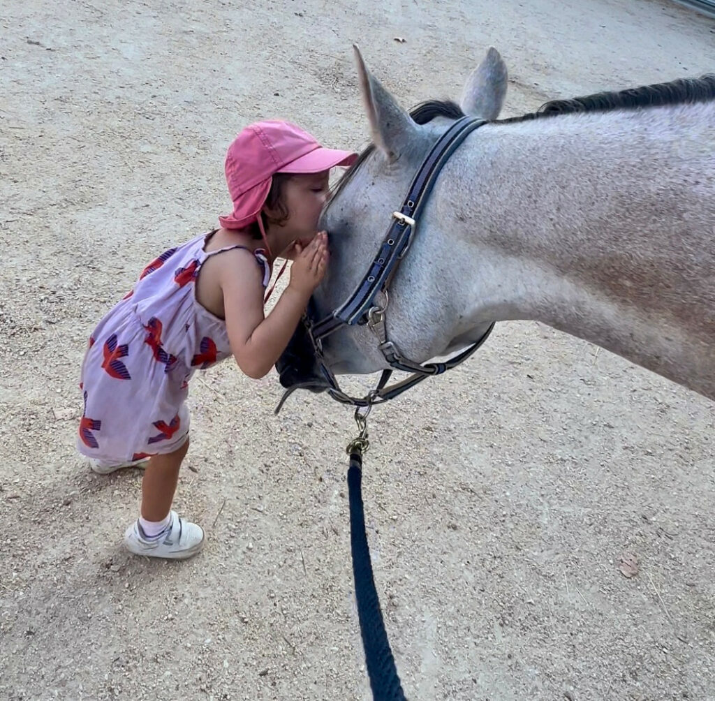 Haras de la Majorie