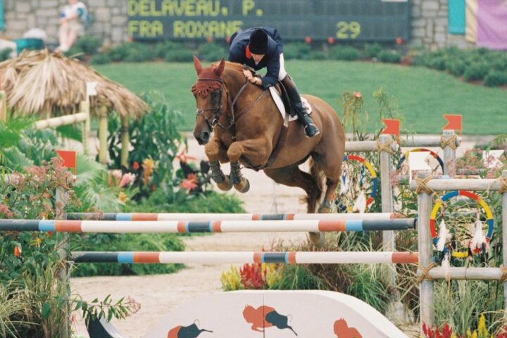 Haras de Rox