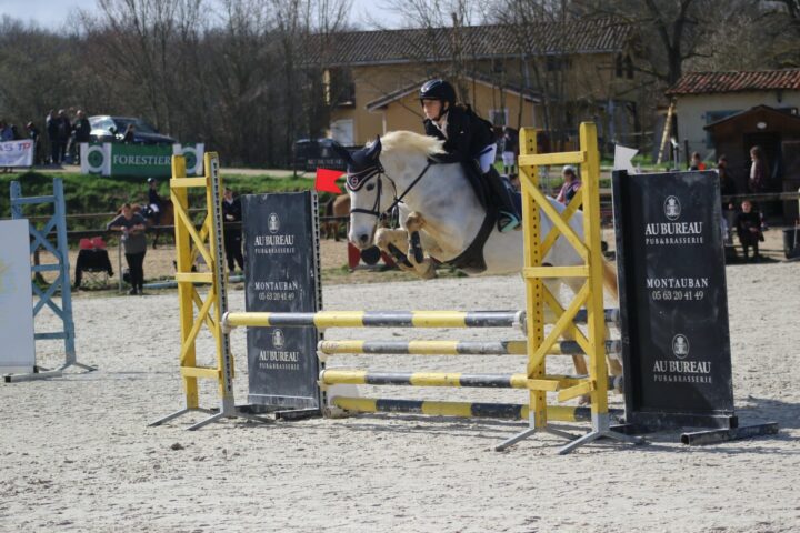 Haras des Templiers 46