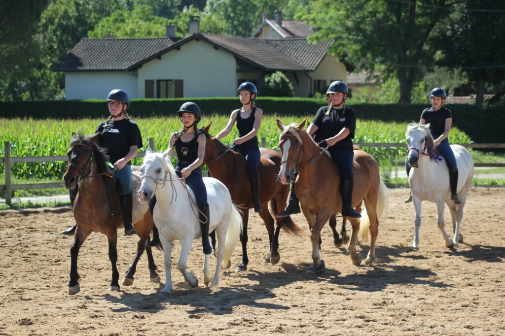 Haras du Chapelan