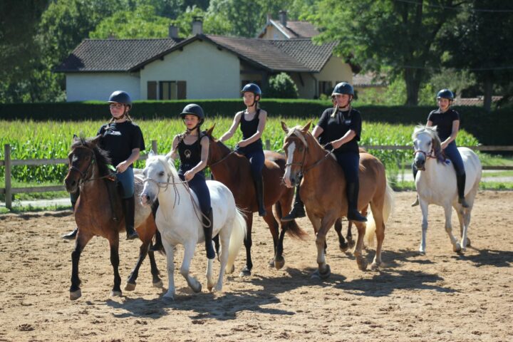 Haras du Chapelan
