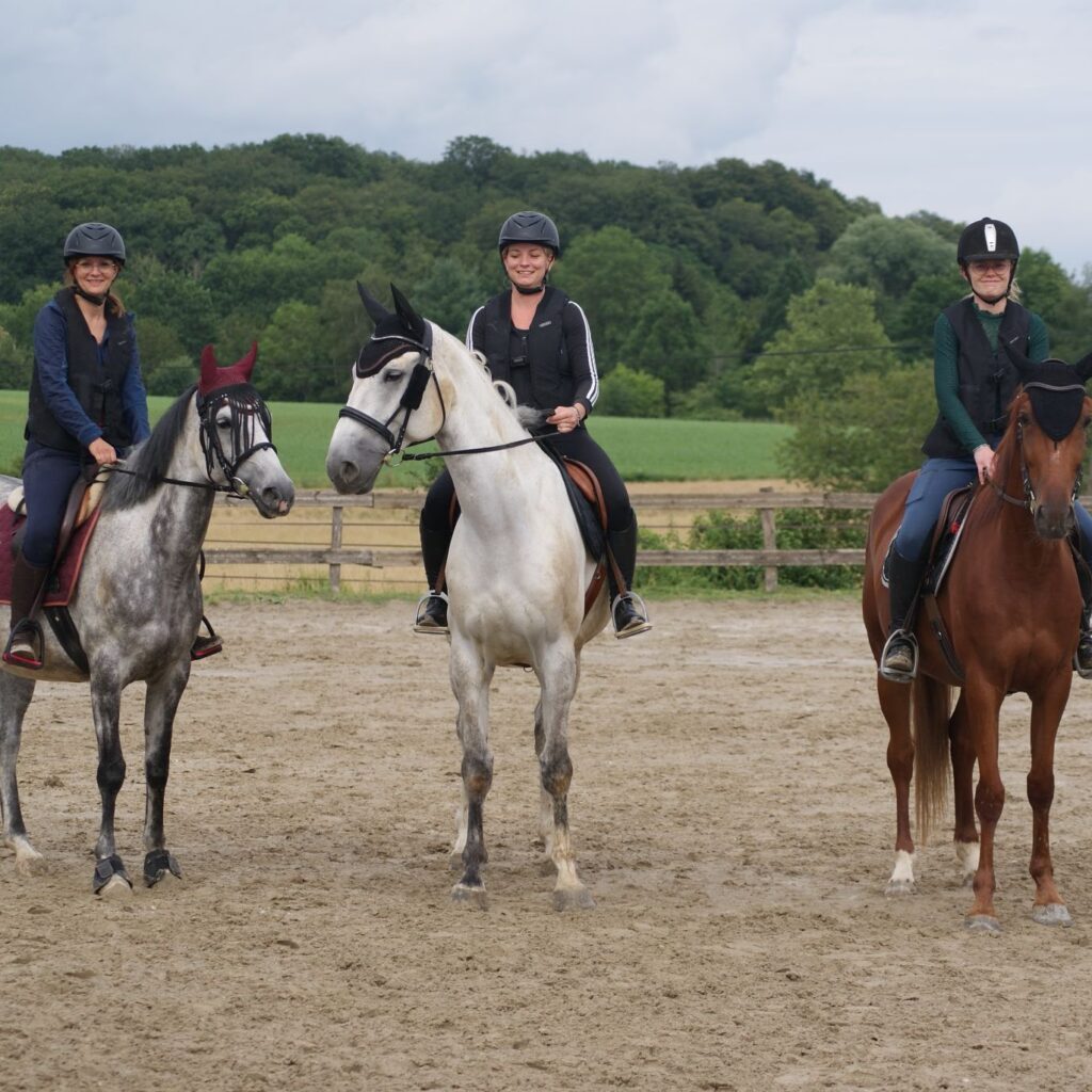 Haras du Val des Charmes