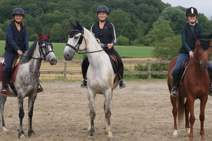 Haras du Val des Charmes