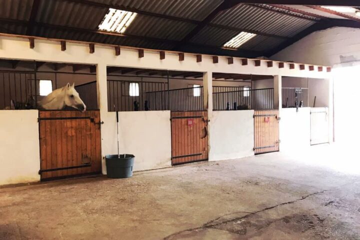 Haras de Sirogne