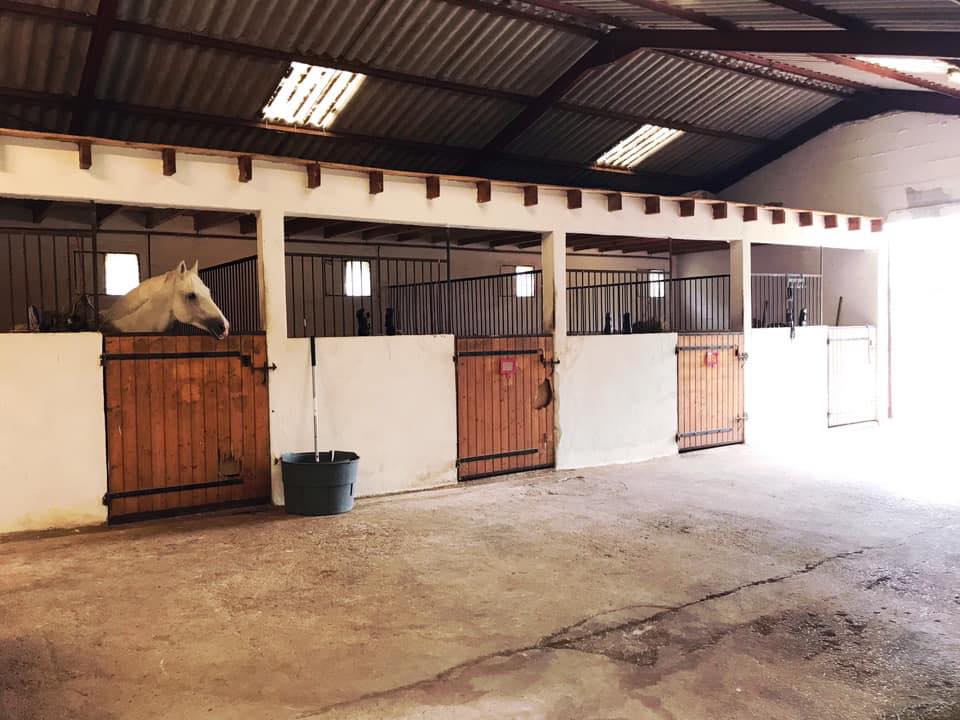 Haras de Sirogne
