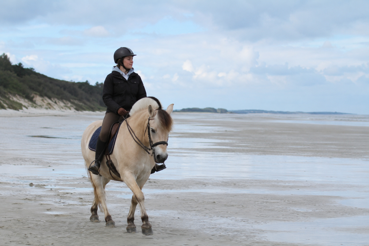 Cavalier en randonnée sur un cheval Henson isabelle sur la plage