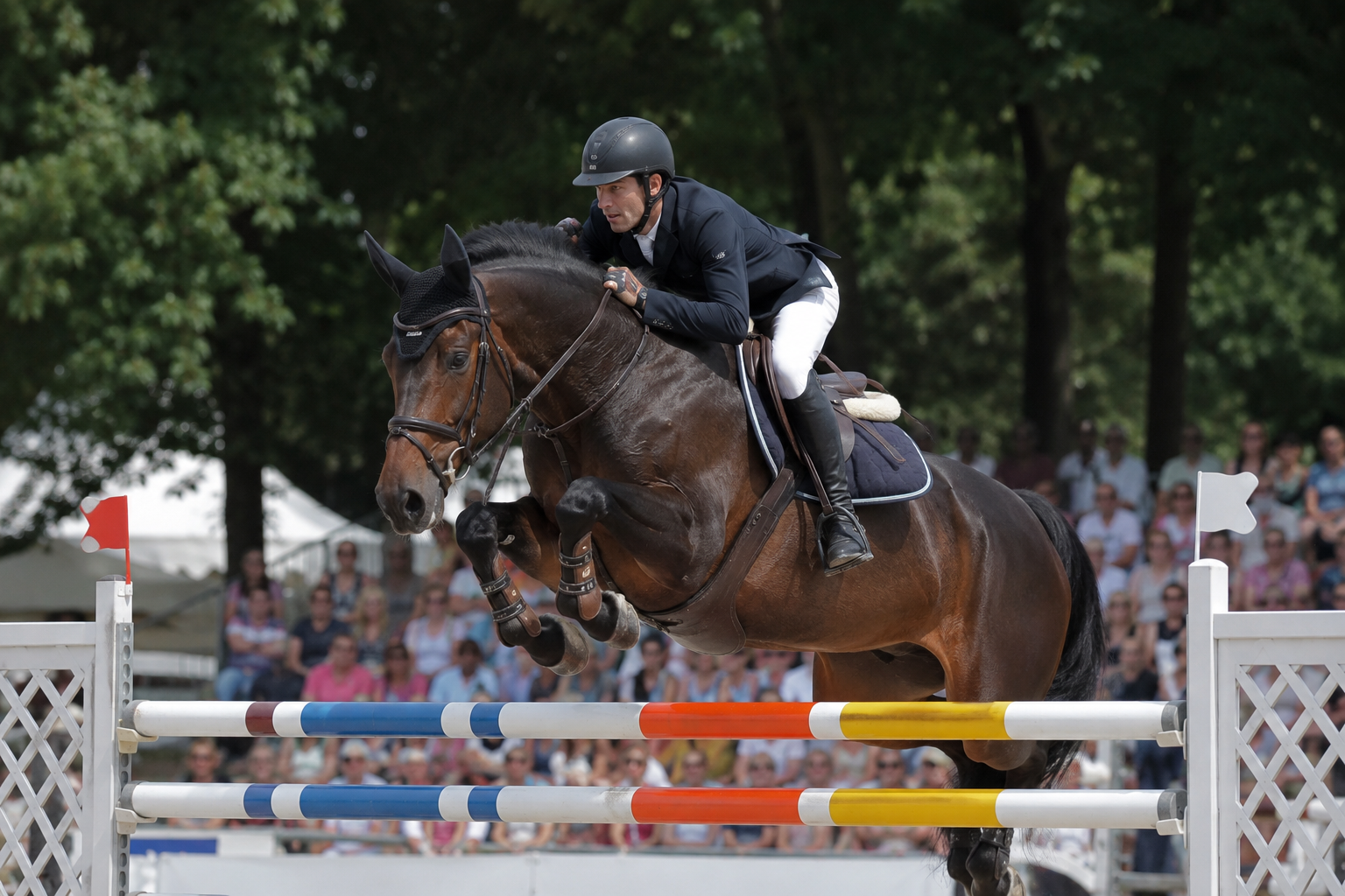 Cheval Holsteiner bai franchissant un grand oxer en concours
