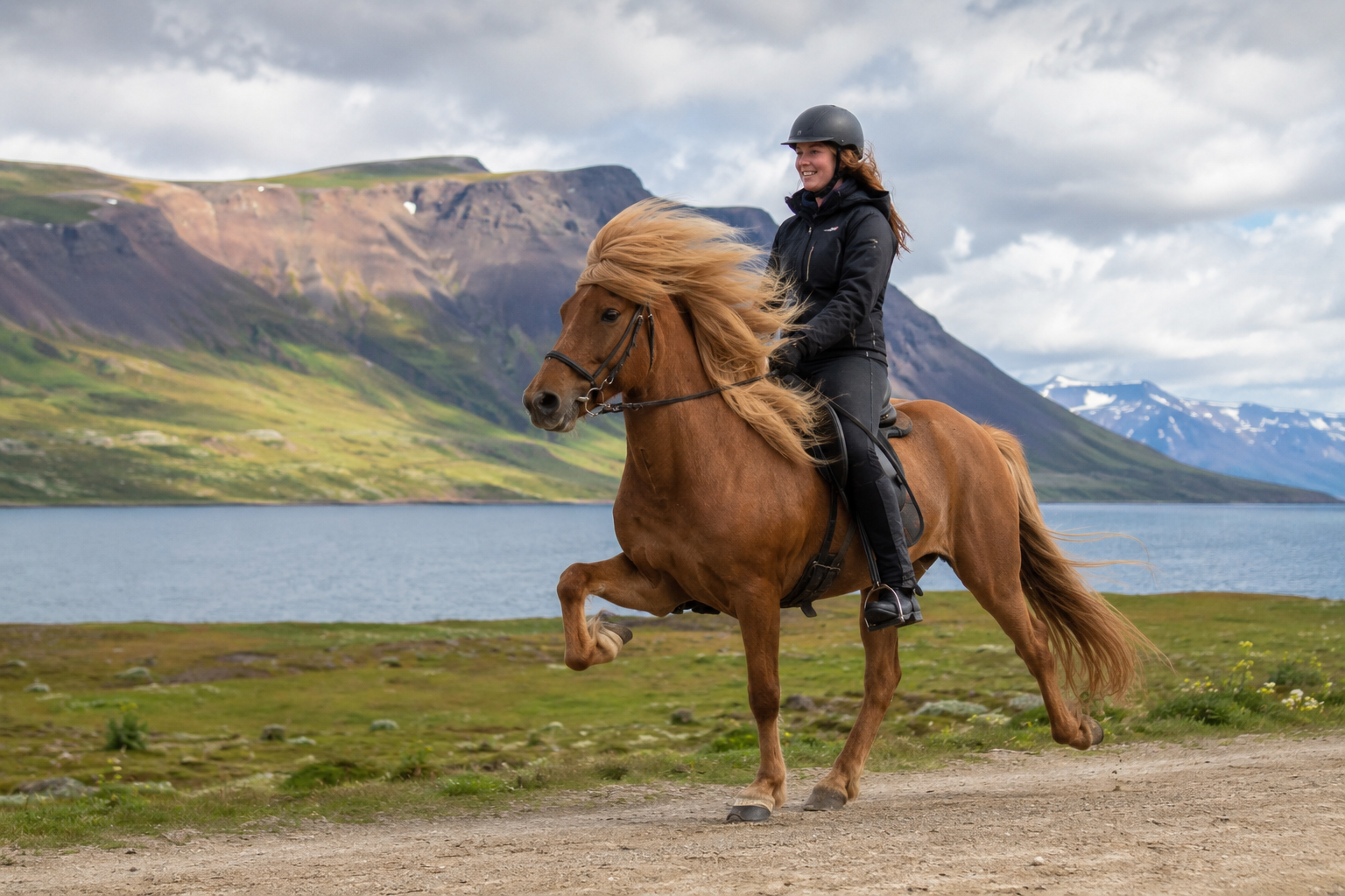 Cheval Islandais monté au tölt dans un paysage islandais
