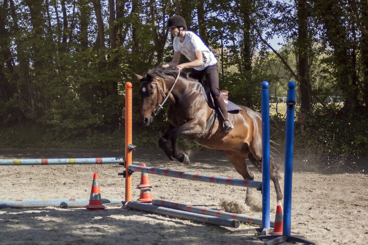 Keropartz Equitation
