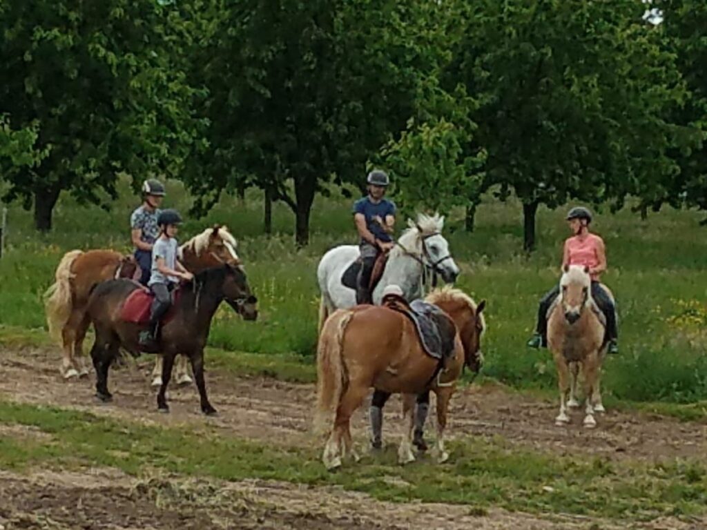 Le Sarcenot à Poney