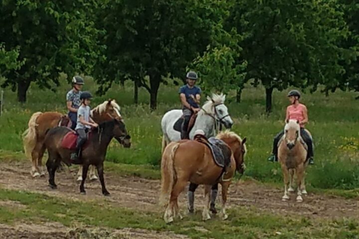 Le Sarcenot à Poney