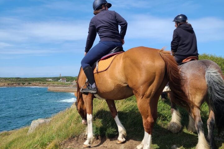 Les Chevaux du Cap Lévi