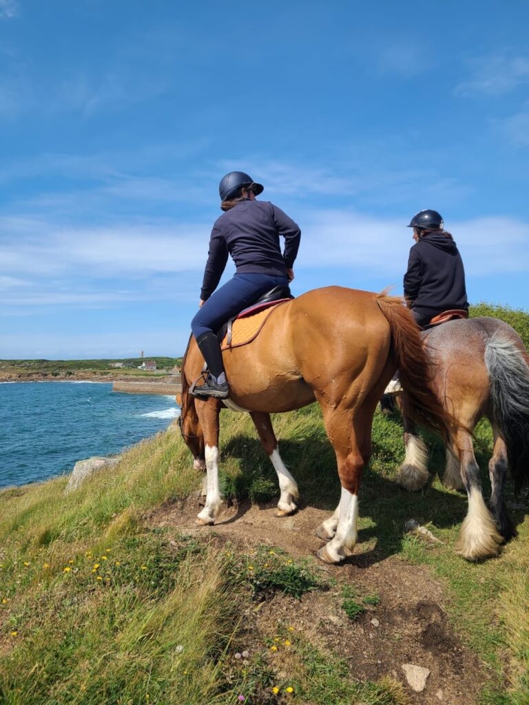 Les Chevaux du Cap Lévi