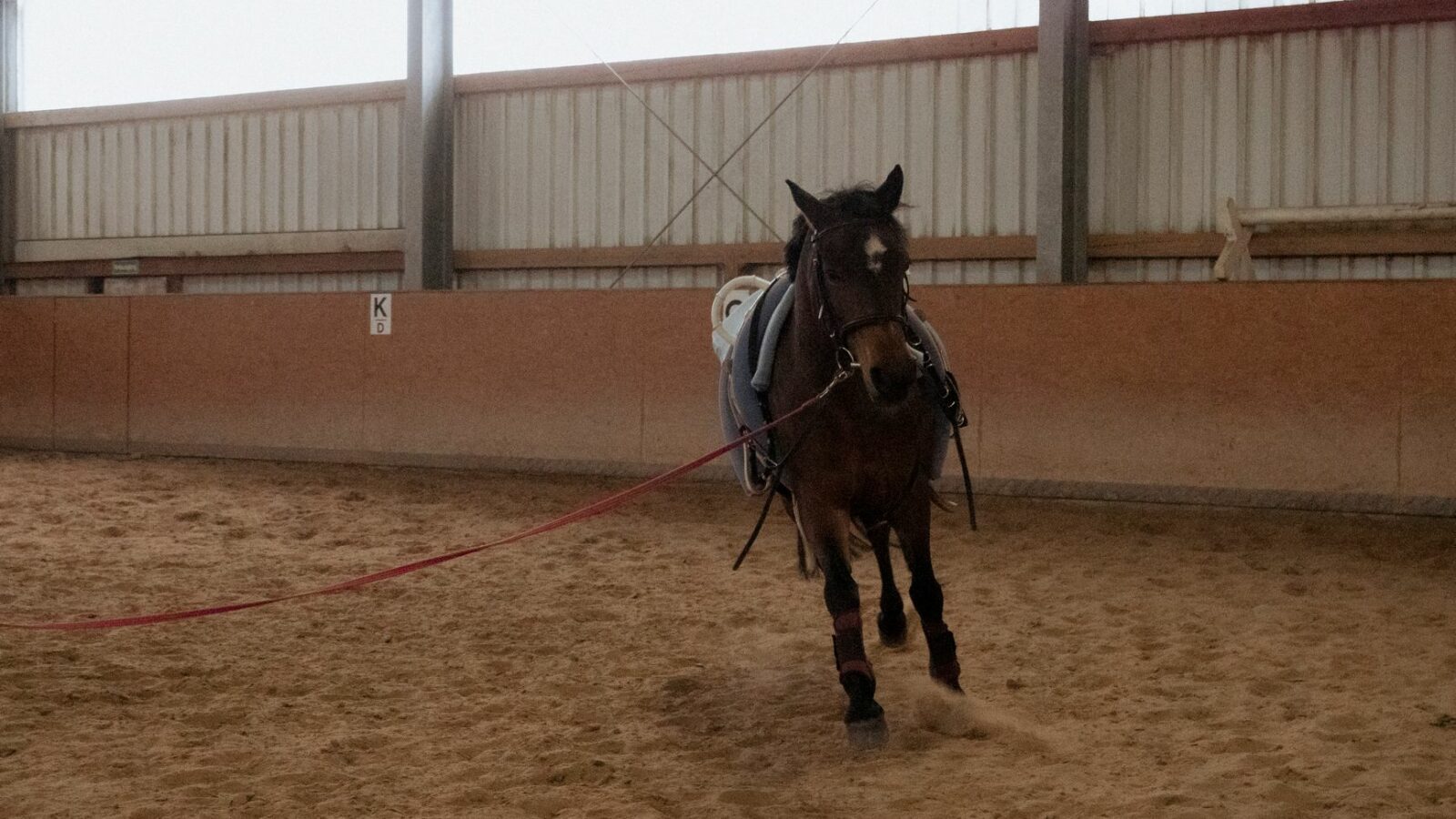 Longer son cheval