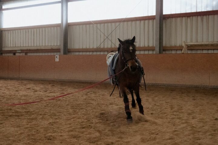 Longer son cheval