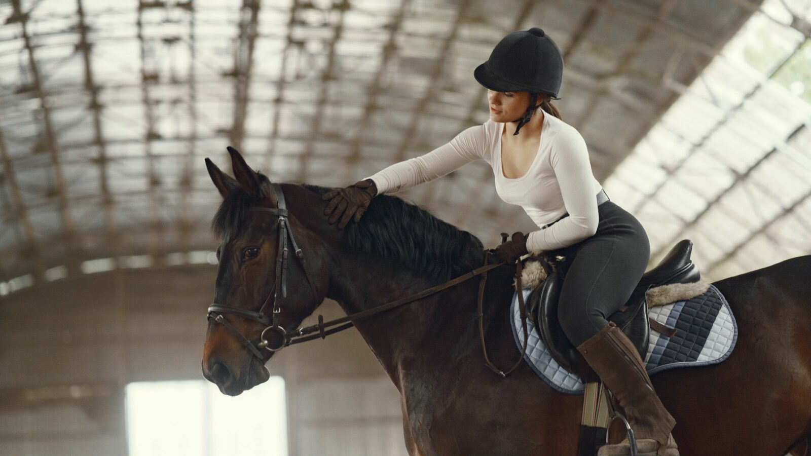 Monter et descendre à cheval, tenir ses rênes