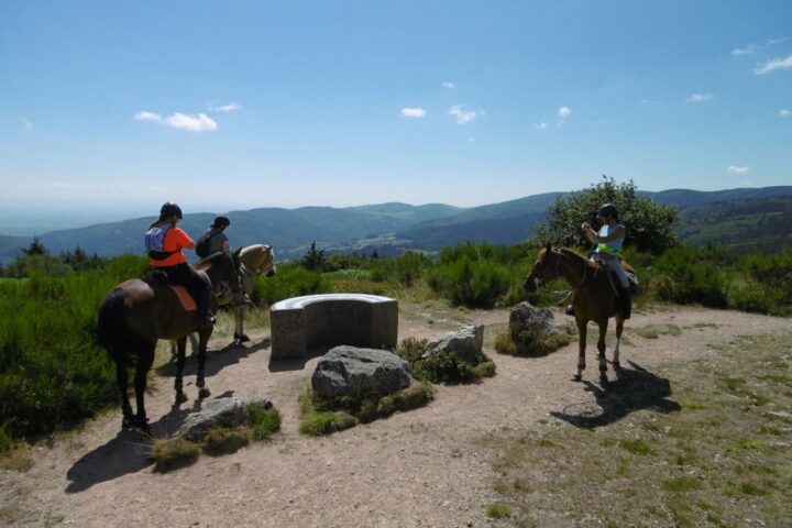 Pension pour chevaux du Moulin Juste