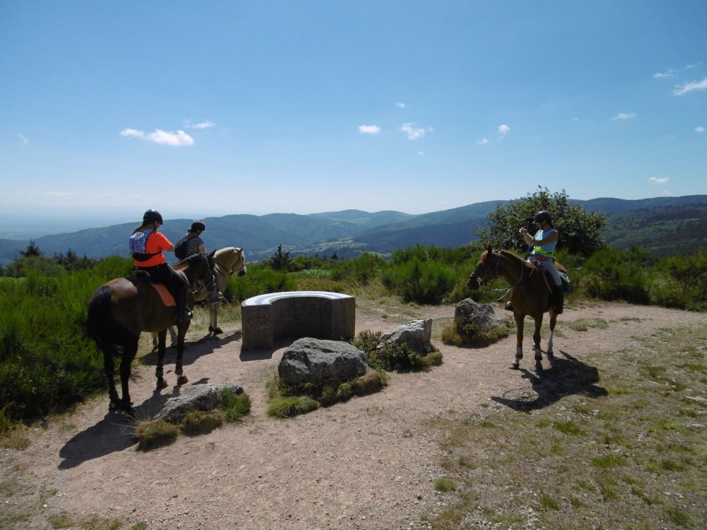 Pension pour chevaux du Moulin Juste