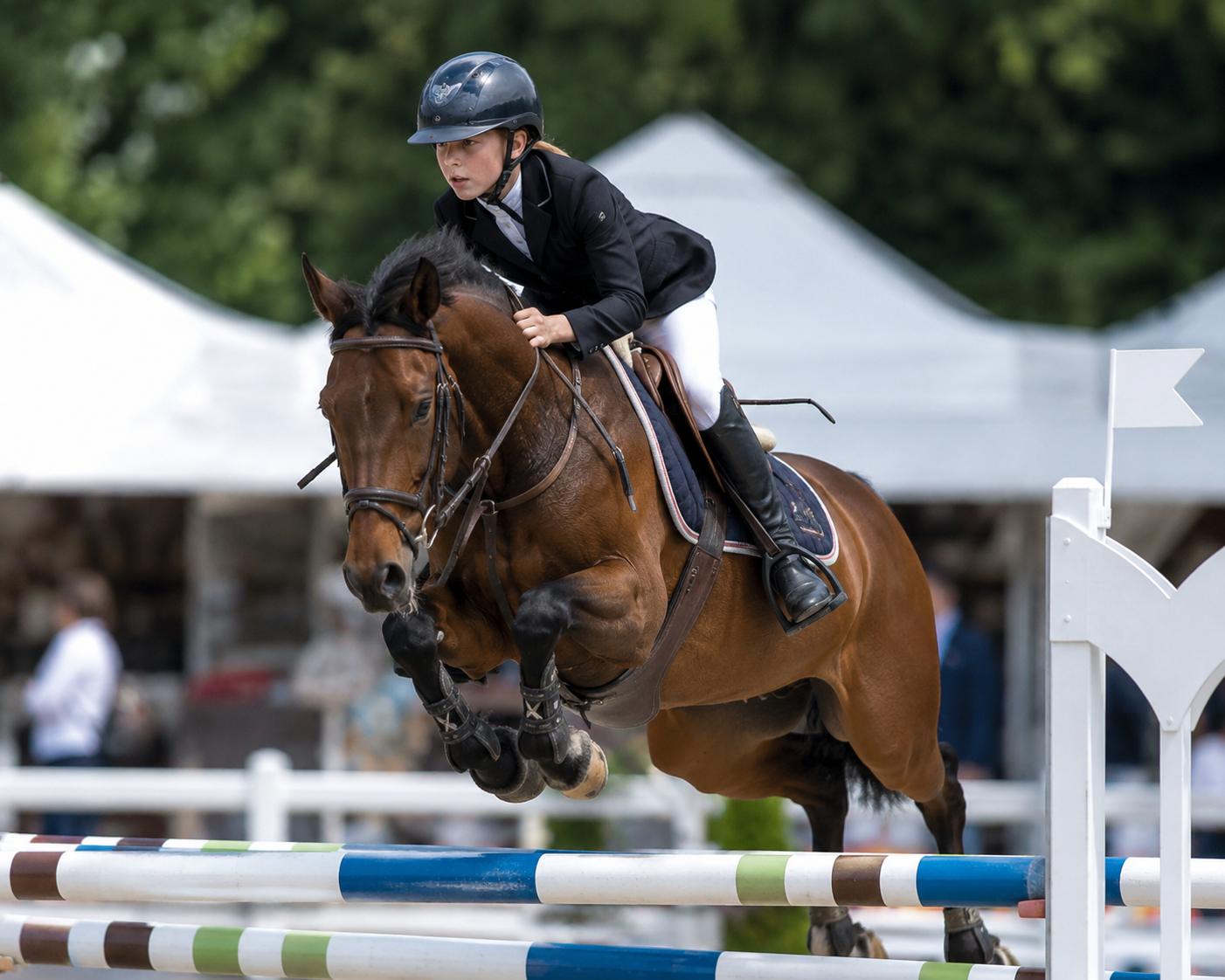 Poney Français de Selle monté par un jeune cavalier en concours de saut