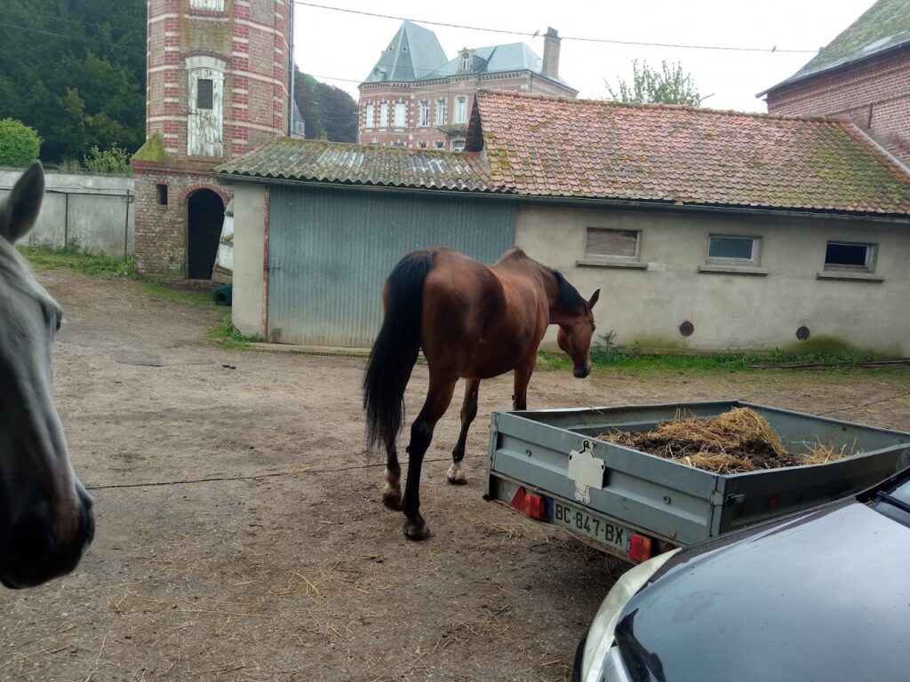 Les Écuries de Kalupia