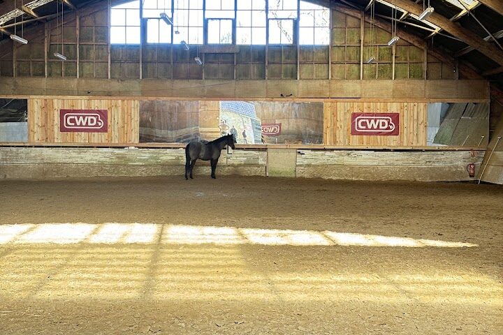 Domaine d&rsquo;Equisport Périgourdin