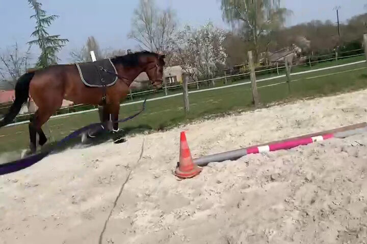 Écurie Baconnet Chloé