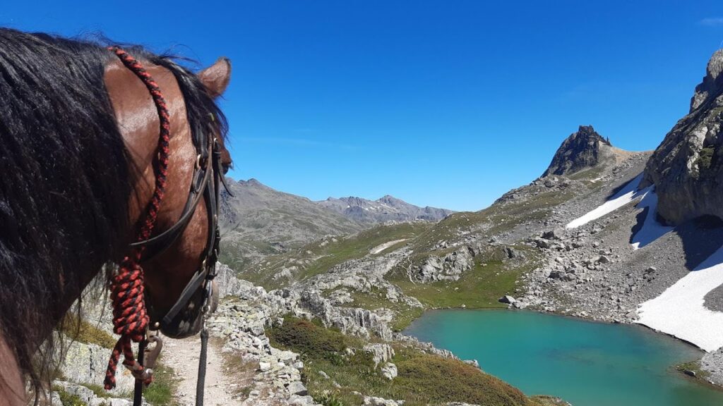 Écurie Les Pies du Sud