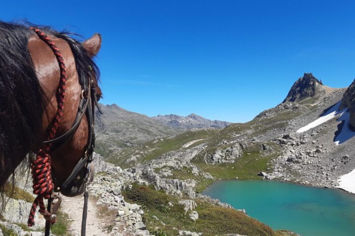 Écurie Les Pies du Sud