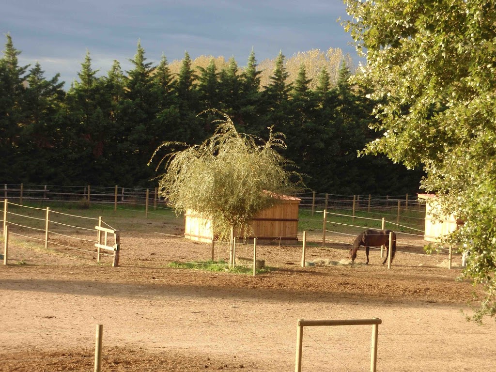 Poney Club d&rsquo;Avignon