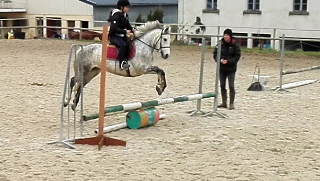 Centre Équestre / Poney-Club de la Forge