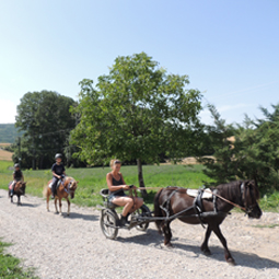 Poney Club & Élevage de La Gardiole