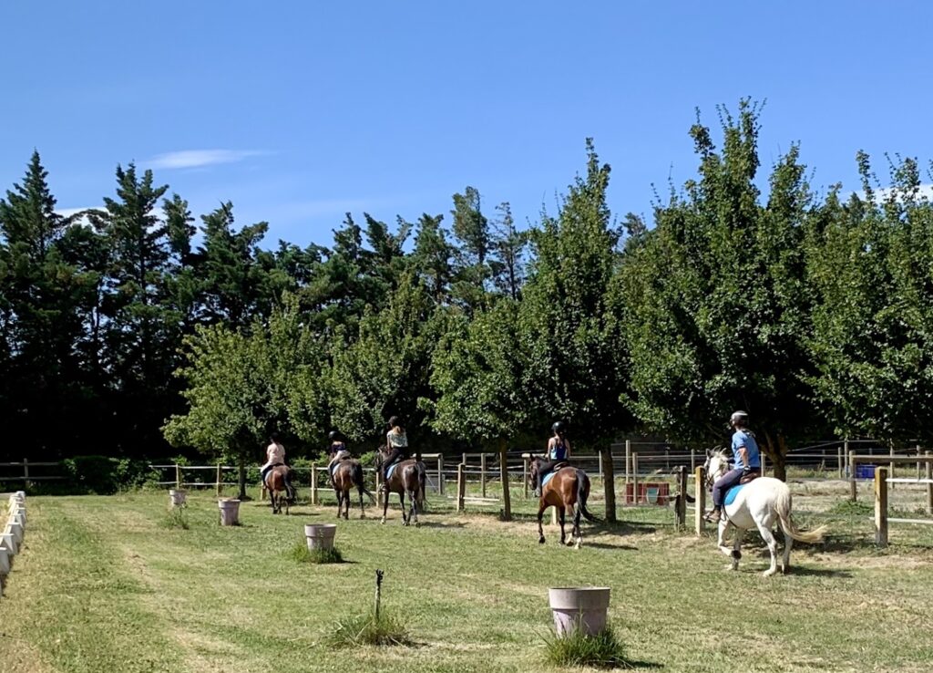Les Poneys de la Plaine