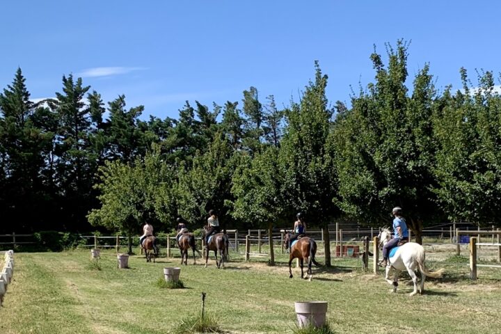 Les Poneys de la Plaine