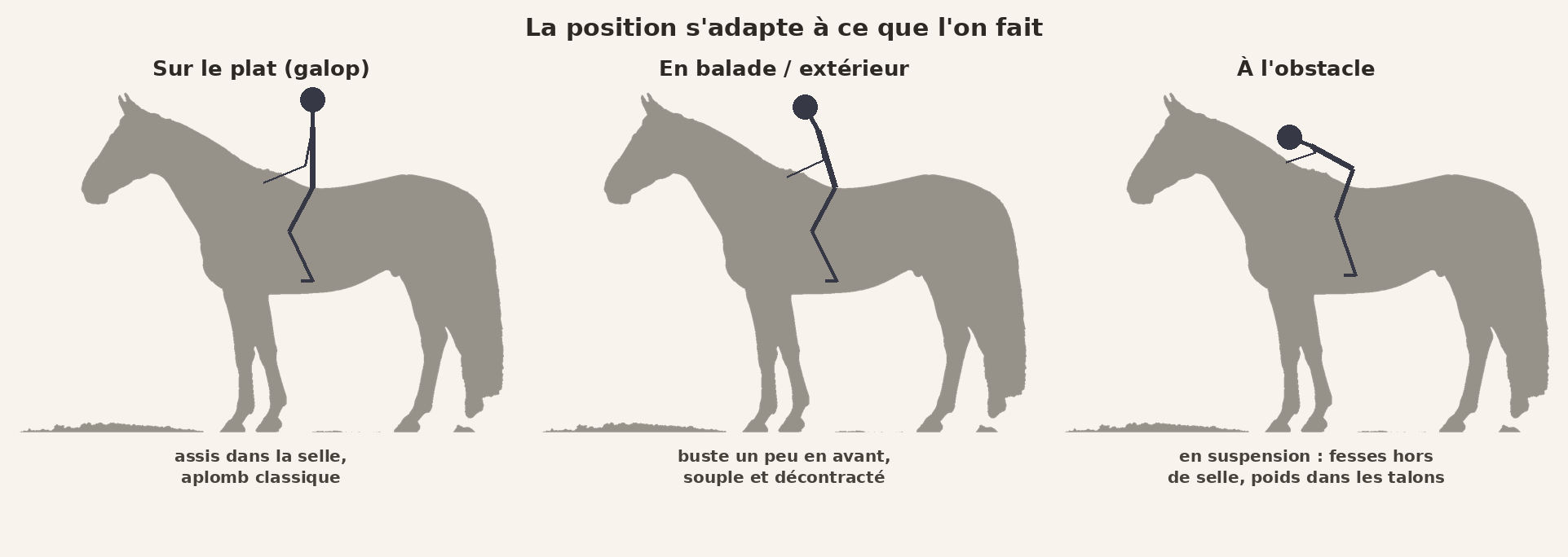 La position du cavalier selon l'activité : sur le plat, en balade et à l'obstacle