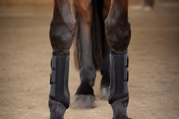 Les protections du cheval : guêtres, cloches et transport