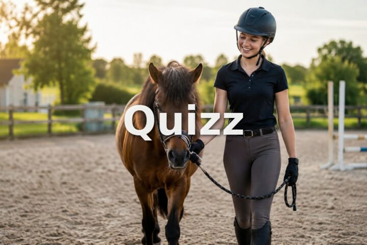 Quizz Galop 1 : teste tes connaissances pour passer ton examen
