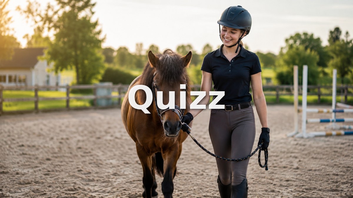 Quizz Galop 1 : teste tes connaissances pour passer ton examen