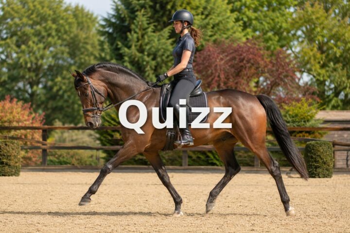 Quizz Galop 2 : teste tes connaissances pour passer ton examen