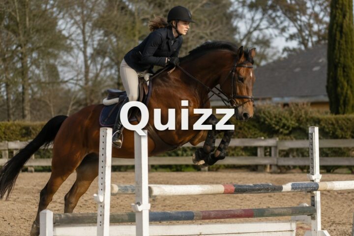 Quizz Galop 3 : teste tes connaissances pour passer ton examen