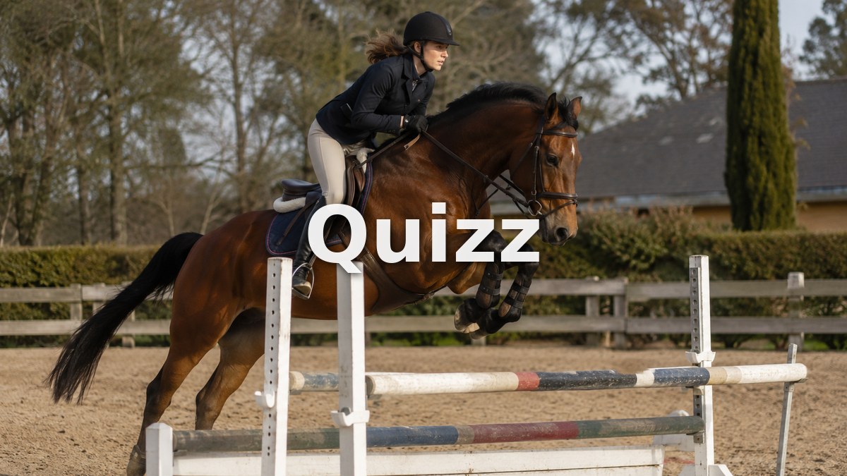 Quizz Galop 3 : teste tes connaissances pour passer ton examen