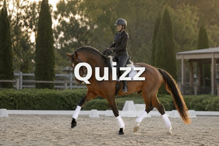 Quizz Galop 6 : teste tes connaissances pour passer ton examen