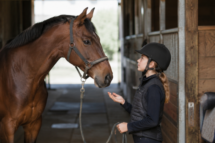 Les regles de securite a cheval et a pied