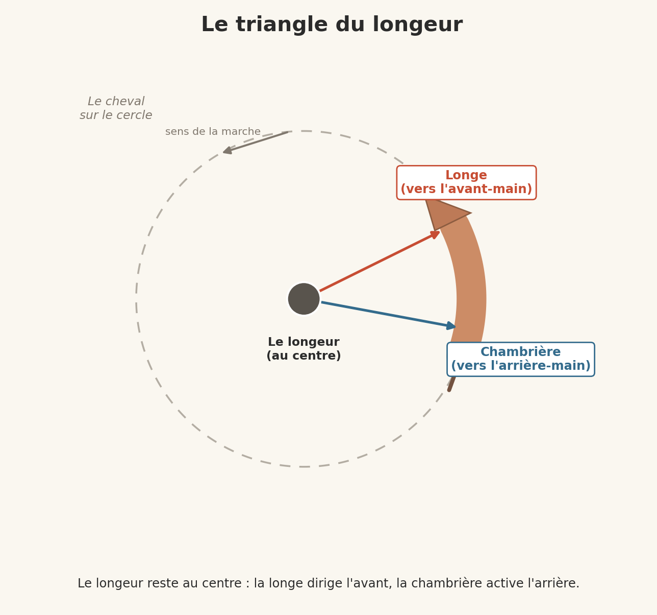 Schéma du triangle du longeur : la longe vers l'avant-main, la chambrière vers l'arrière-main