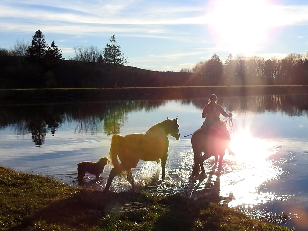 Wild Wide Ranch