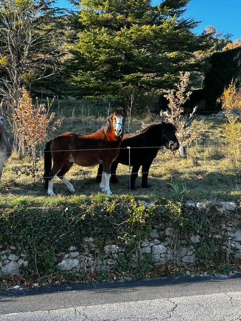 La Mini Ferme du Ventoux — Écuries de Bacchus