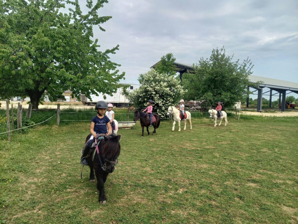 Écurie Equi&rsquo;val d&rsquo;Amour
