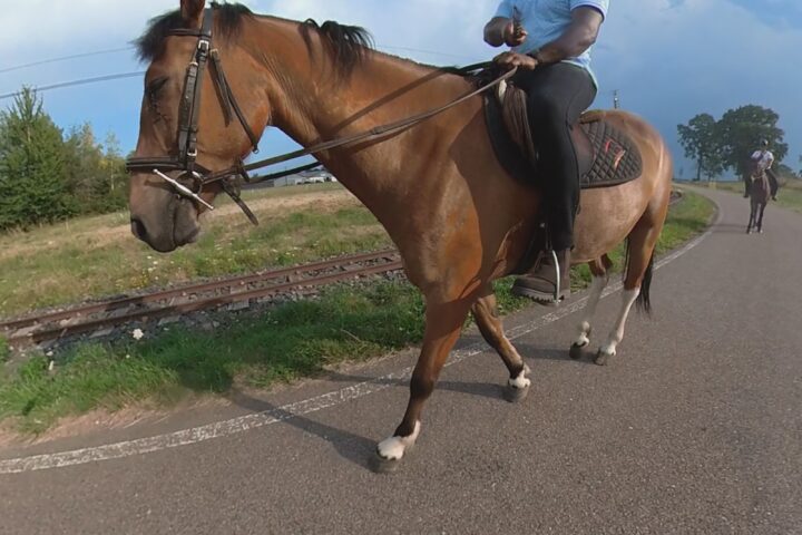 Écurie Jumping 88