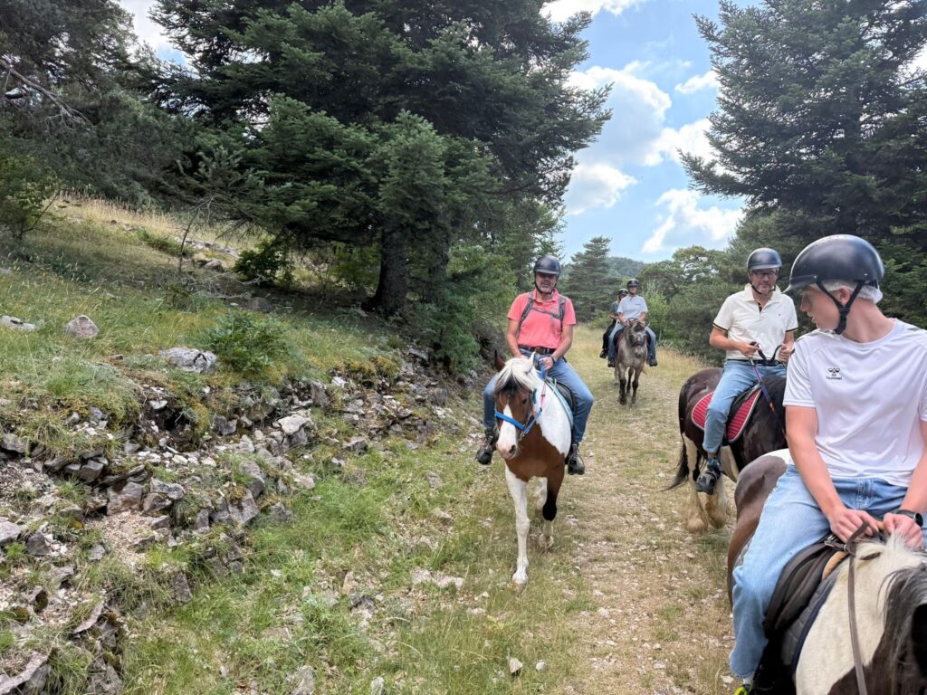 Les Écuries de la Louvière