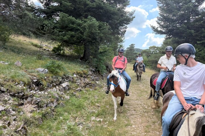 Les Écuries de la Louvière