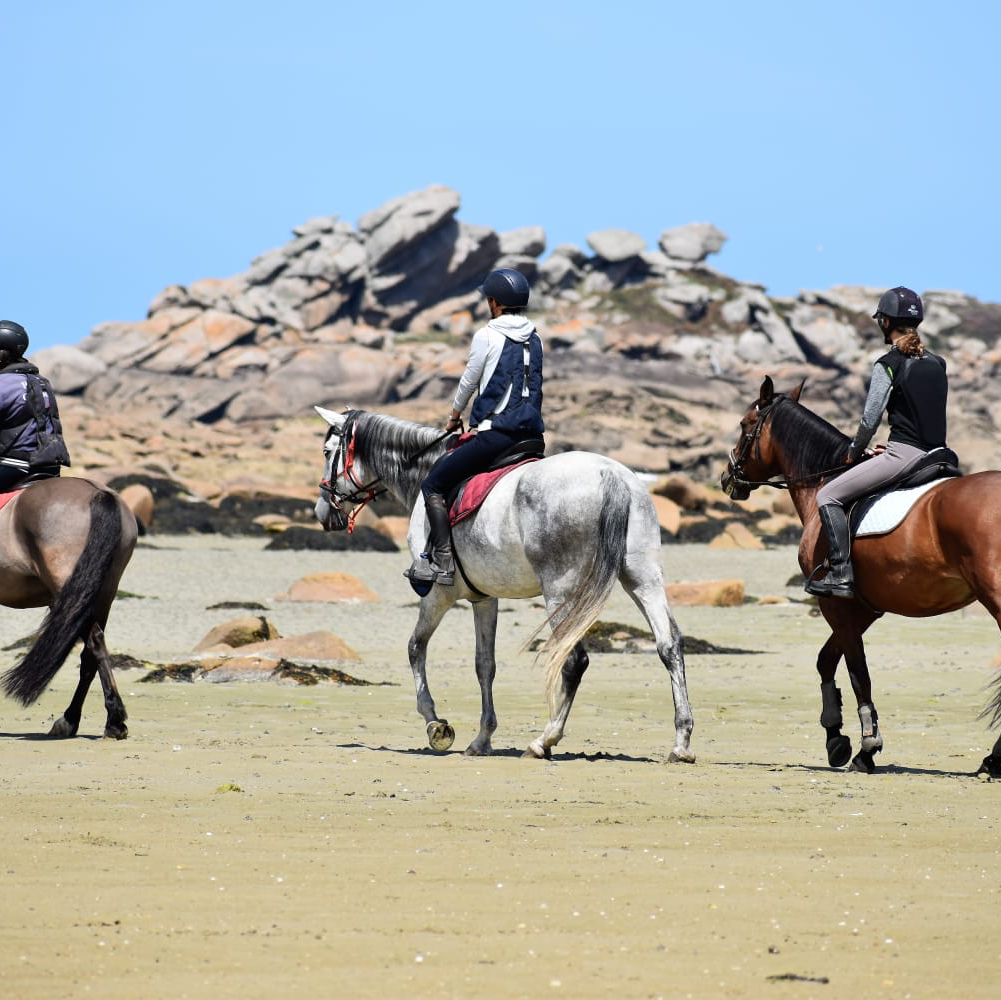 Equitation Saint Samson